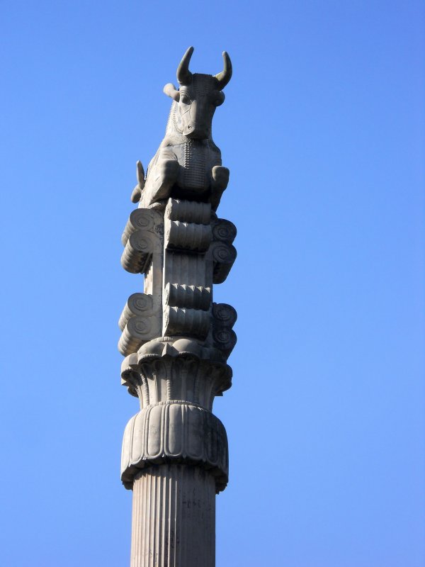 DSCN1226.jpg
