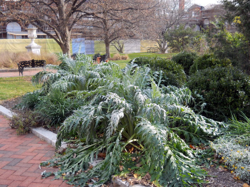 DSCN1499.jpg