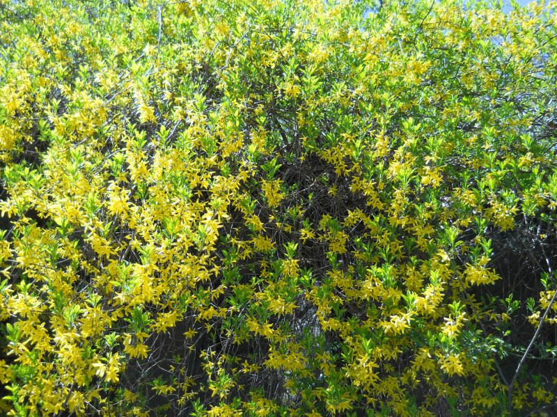 DSCN1679.jpg