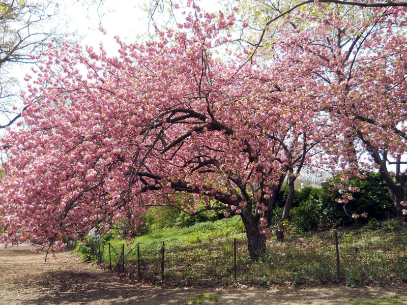 DSCN1768.jpg