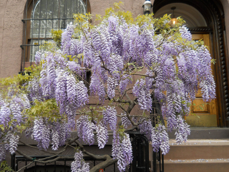 DSCN1770.jpg