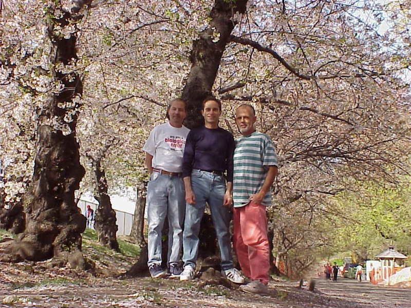 Mvc-001l.jpg