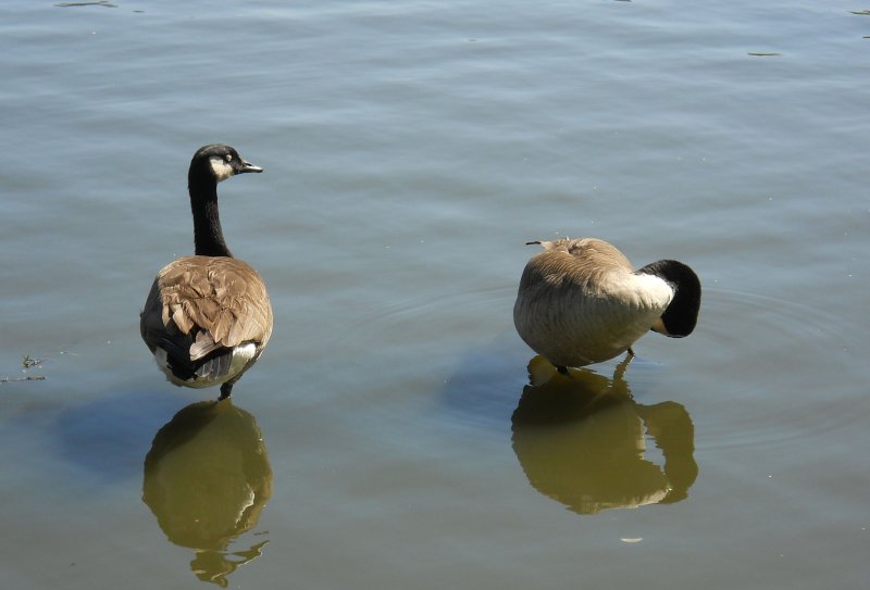 DSCN1854.jpg