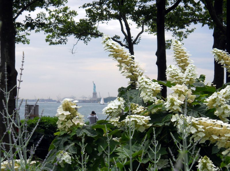 DSCN2214.jpg