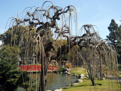 Japanese Garden in Palermo
