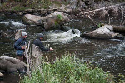 What TailWaters are For