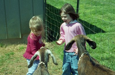 Jersey Girls meet Billy Goats