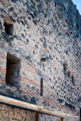 _DSC3885.jpg