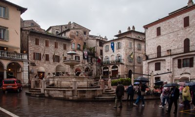 _DSC4005.jpg