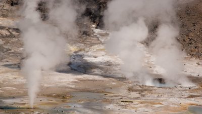 Norris Geyser Basin - Steam Vents