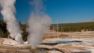 Norris Geyser Basin - Small Geysers