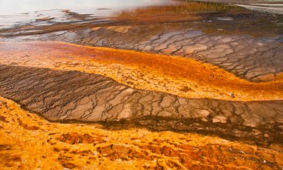 Colorful Patterns Made by Bacterial Mats in Hot Springs