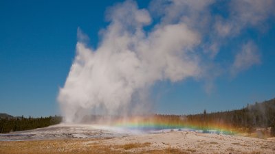 Geyser with Rainbow in Mist - Near Old Faithful
