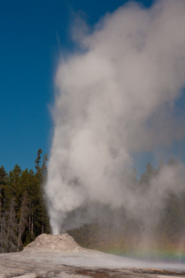 Erupting Geyser - Upper Geyser Basin