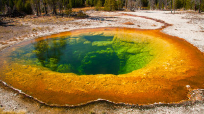 Morning Glory Pool - Upper Geyser Basin