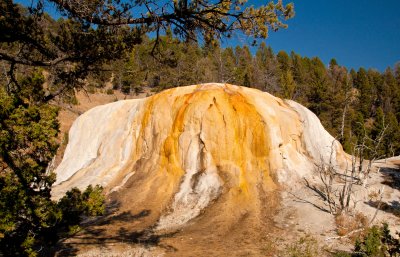 Hot Spring Terrace at Mammoth Hot Springs