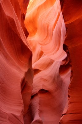 g4/70/805170/3/135968610.o3awof1B.jpg