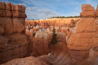 110420-090215-BryceCanyon_C-_MG_8956.jpg