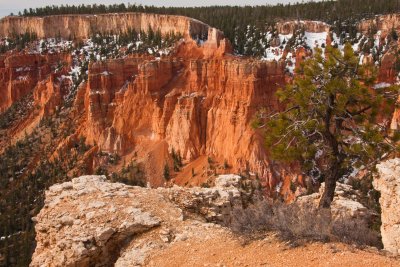 110421-110734-BryceCanyon_C-_MG_8961.jpg