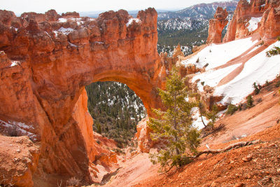 110421-114242-BryceCanyon_C-_MG_8964.jpg