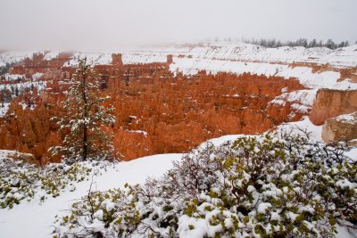 110423-110759-BryceCanyon_P-_CR_9029.jpg