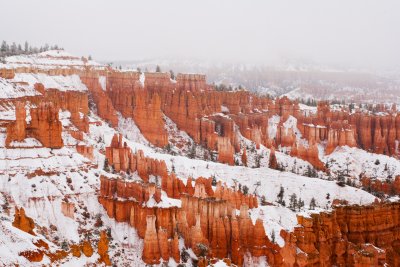 110423-111356-BryceCanyon_P-_CR_9039.jpg