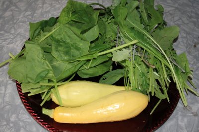 Squash, Spinach, Lettuce
