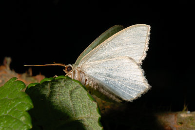 g4/70/813670/3/91275488.EwmeL7f4.jpg