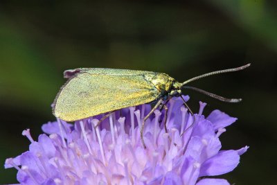 g4/70/813670/3/91282317.eMyIjNZf.jpg