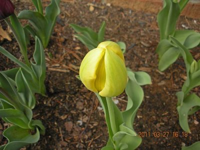 March 2011