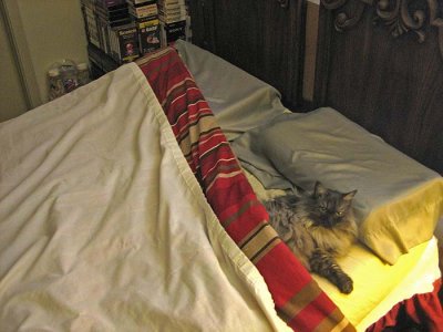 IMG_7049.jpg