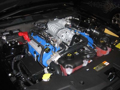 IMG_7051.jpg