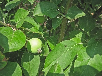 IMG_7098.jpg