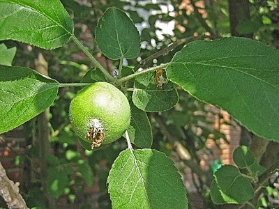 IMG_7103.jpg