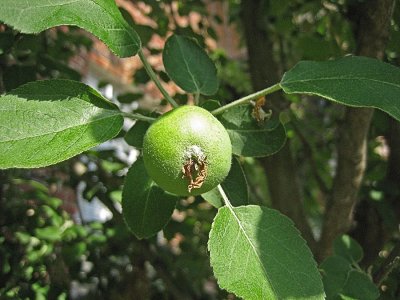 IMG_7104.jpg