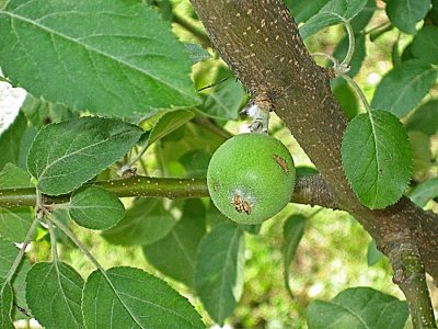 IMG_7107.jpg