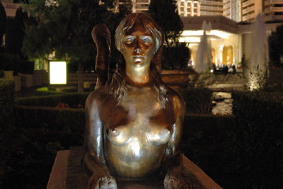 DSC_2586.jpg