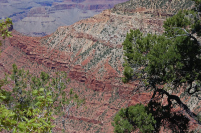 DSC_3175.jpg