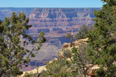 DSC_3217.jpg