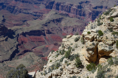 DSC_3230.jpg