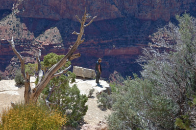 DSC_3237.jpg