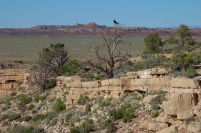DSC_3380.jpg