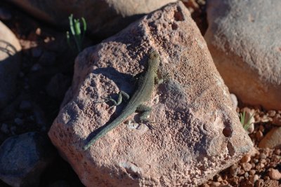 DSC_3399.jpg