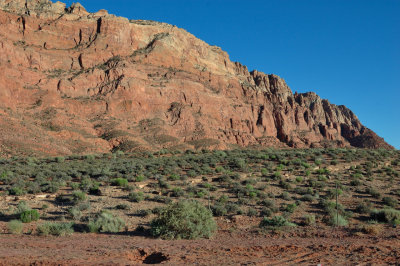DSC_3421.jpg