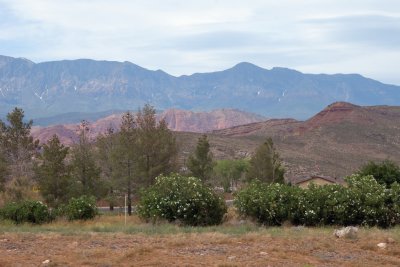 DSC_4118.jpg