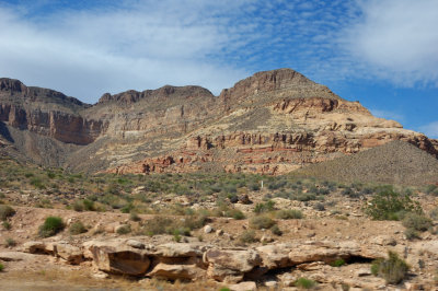 DSC_4127.jpg