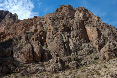DSC_4158.jpg