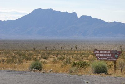 DSC_4169.jpg
