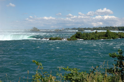DSC_4741.jpg