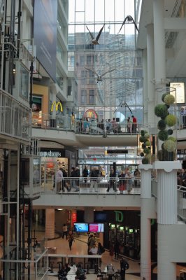 DSC_5121.jpg